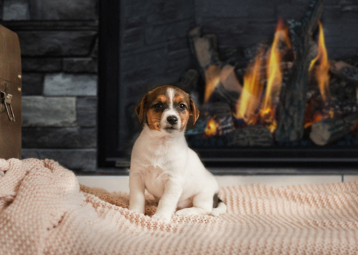 Montigo DelRay Square 46 Basic