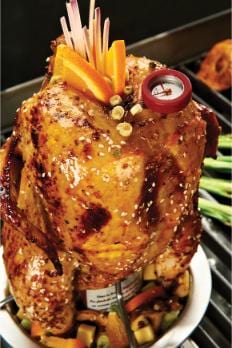 Broil King Broil King Chicken Roaster