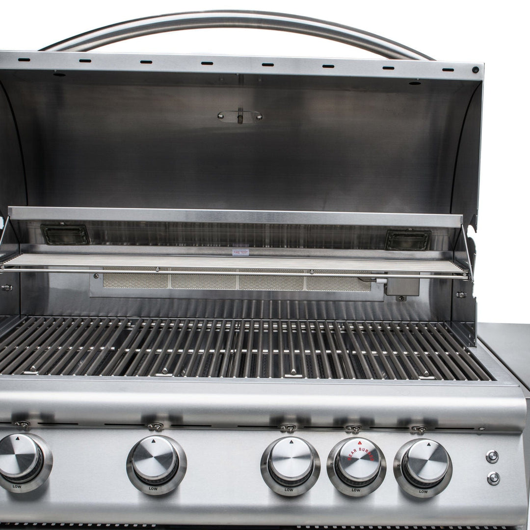 Blaze Blaze Premium LTE 32-Inch 4-Burner Built-In Grill