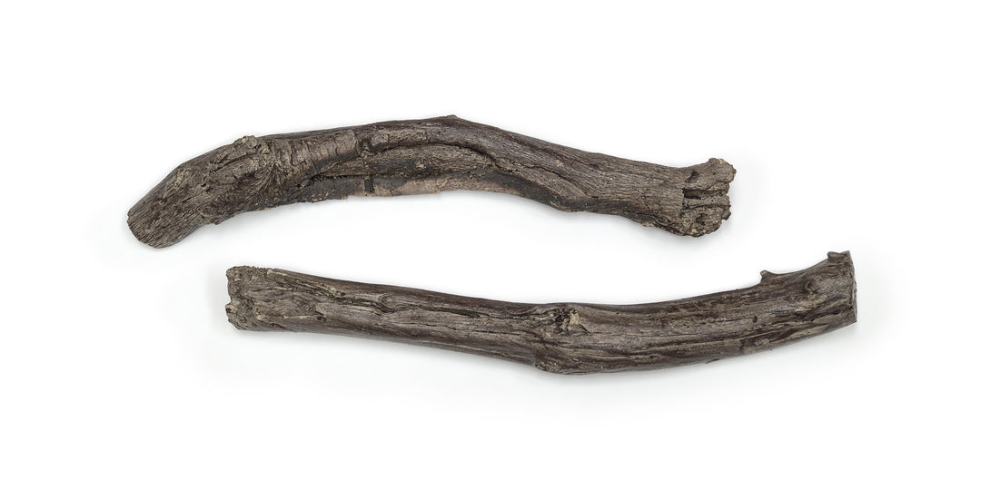 Desert Sage Branches