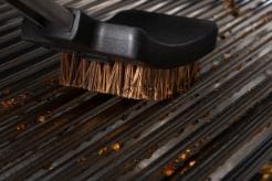 Broil King Broil King Palmyra Bristle Replacement Brush Heads