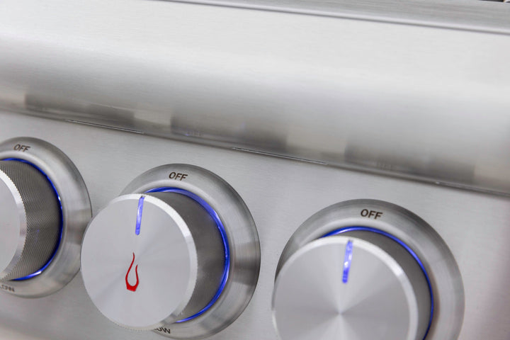 Blaze Blaze Premium LTE+ 32-Inch 4-Burner Built-In Grill