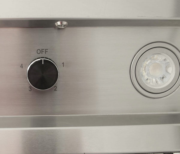 Blaze Blaze 42-Inch 2000 CFM Stainless Steel Outdoor Vent Hood